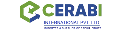 CERABI-LOGO logo